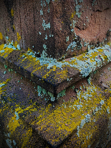 Symbiosis (5.6 oz) - Batt in a Braid #7 - Polwarth/ Manx / Mulberry silk/ Firestar (30/30/30/10)