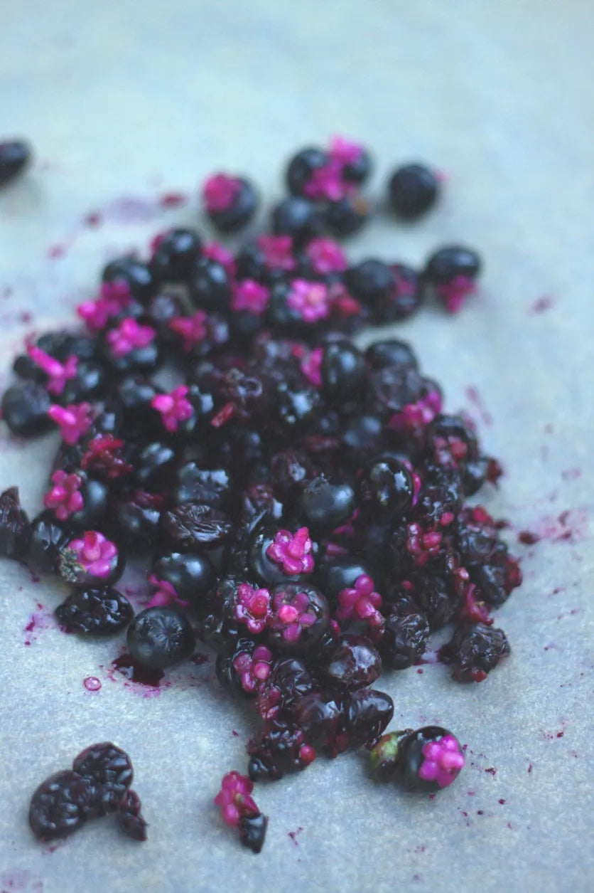 Crushed Pokeberries (4.3 oz) NON-Sparkle Sticklebatts -Jacob fleece, camel, merino, silk, silk noil