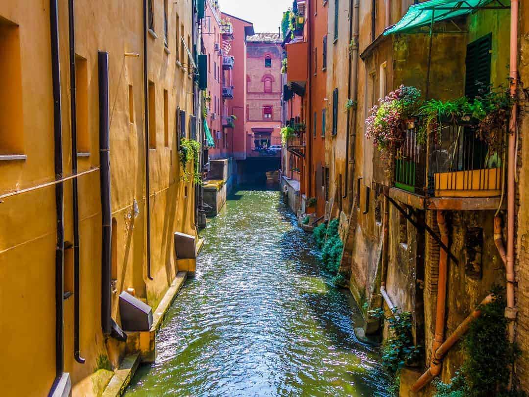 TdF Irregulars - Bologna without pink