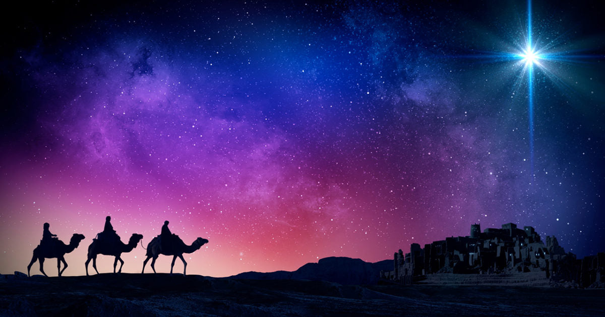 Night Divine - Sparkle Sticklebatts - Corriedale X fleece, merino, silk, CAMEL, sari silk, angelina