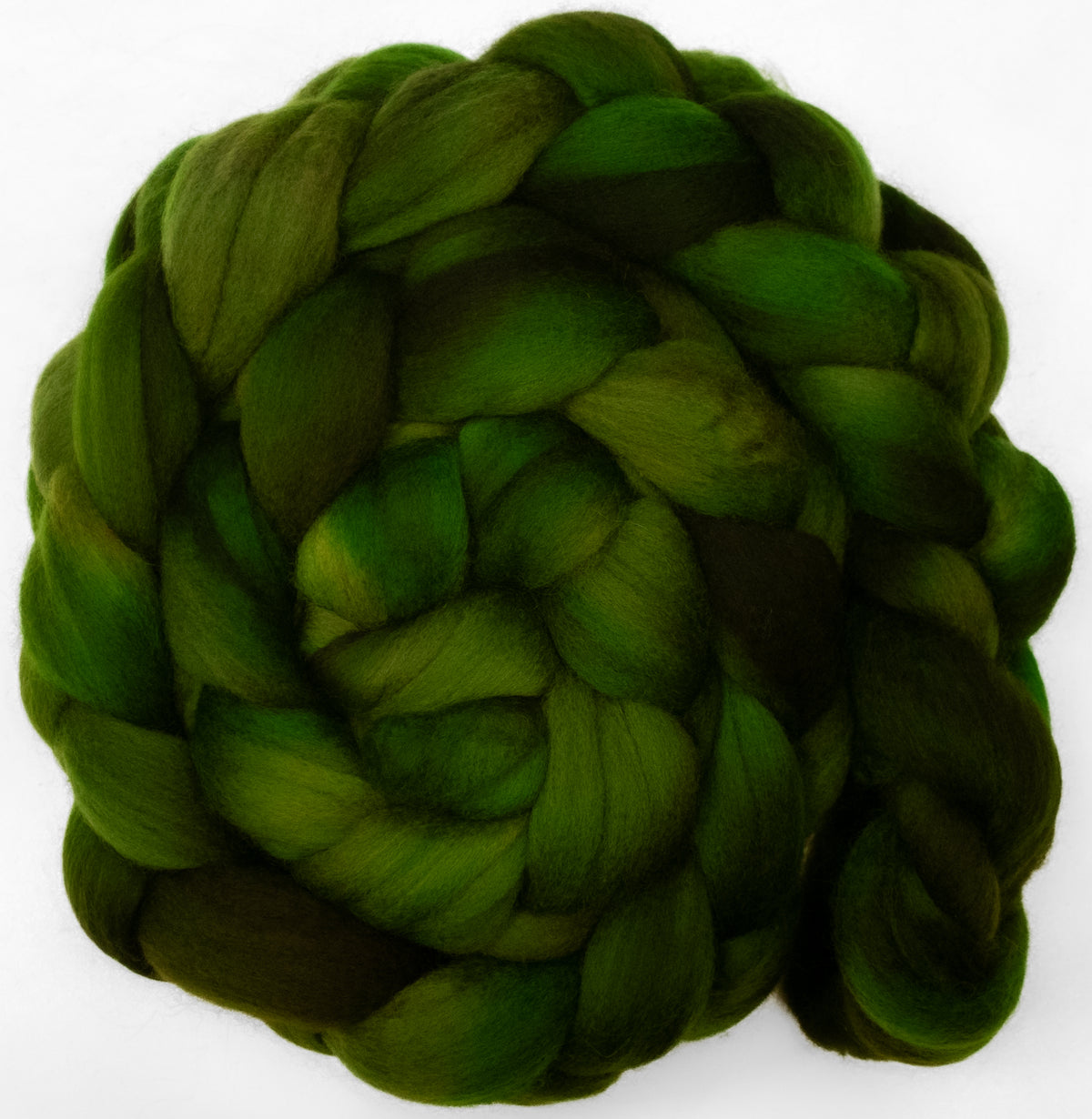 Umbrella Pine (5.9 oz) - Polwarth