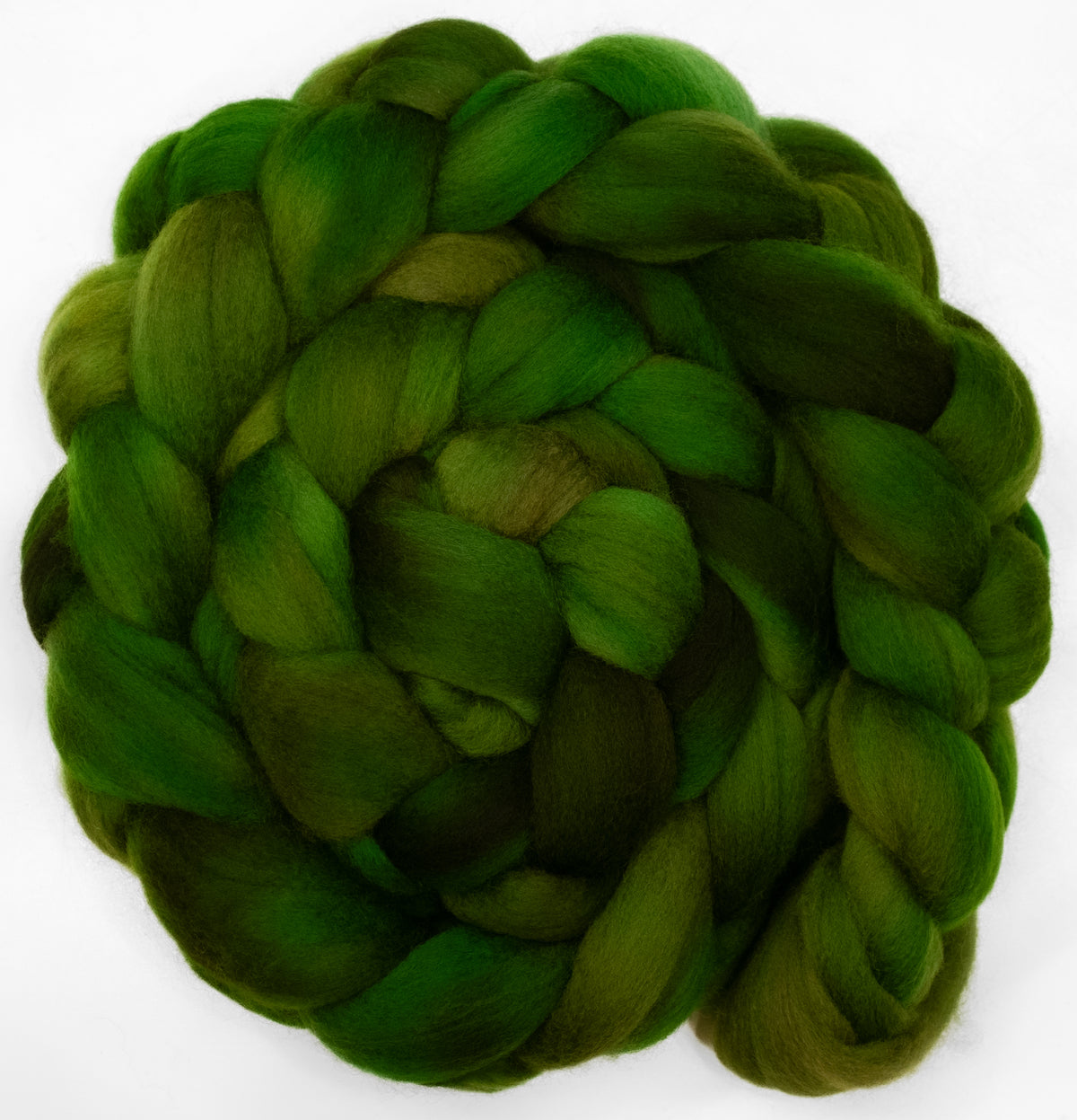 Umbrella Pine (5.9 oz) - Polwarth