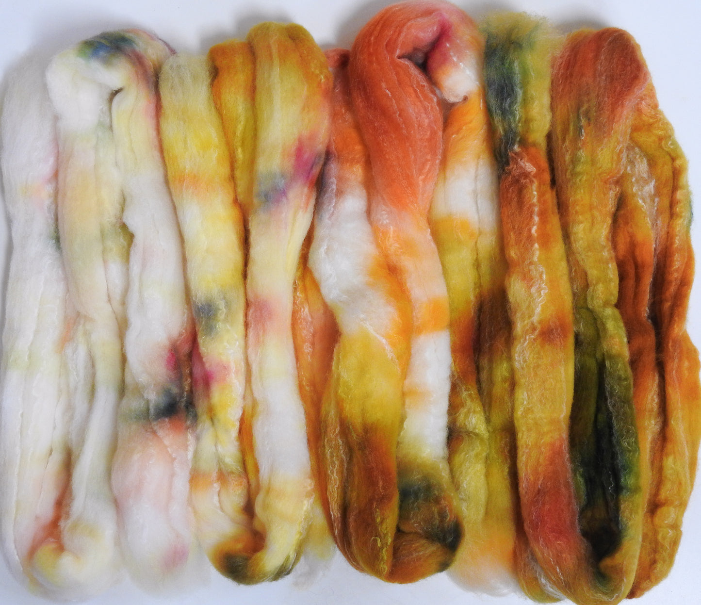 Golden Trumpets (5.5 oz) -gradient set - Cormo Top (23 mic.)