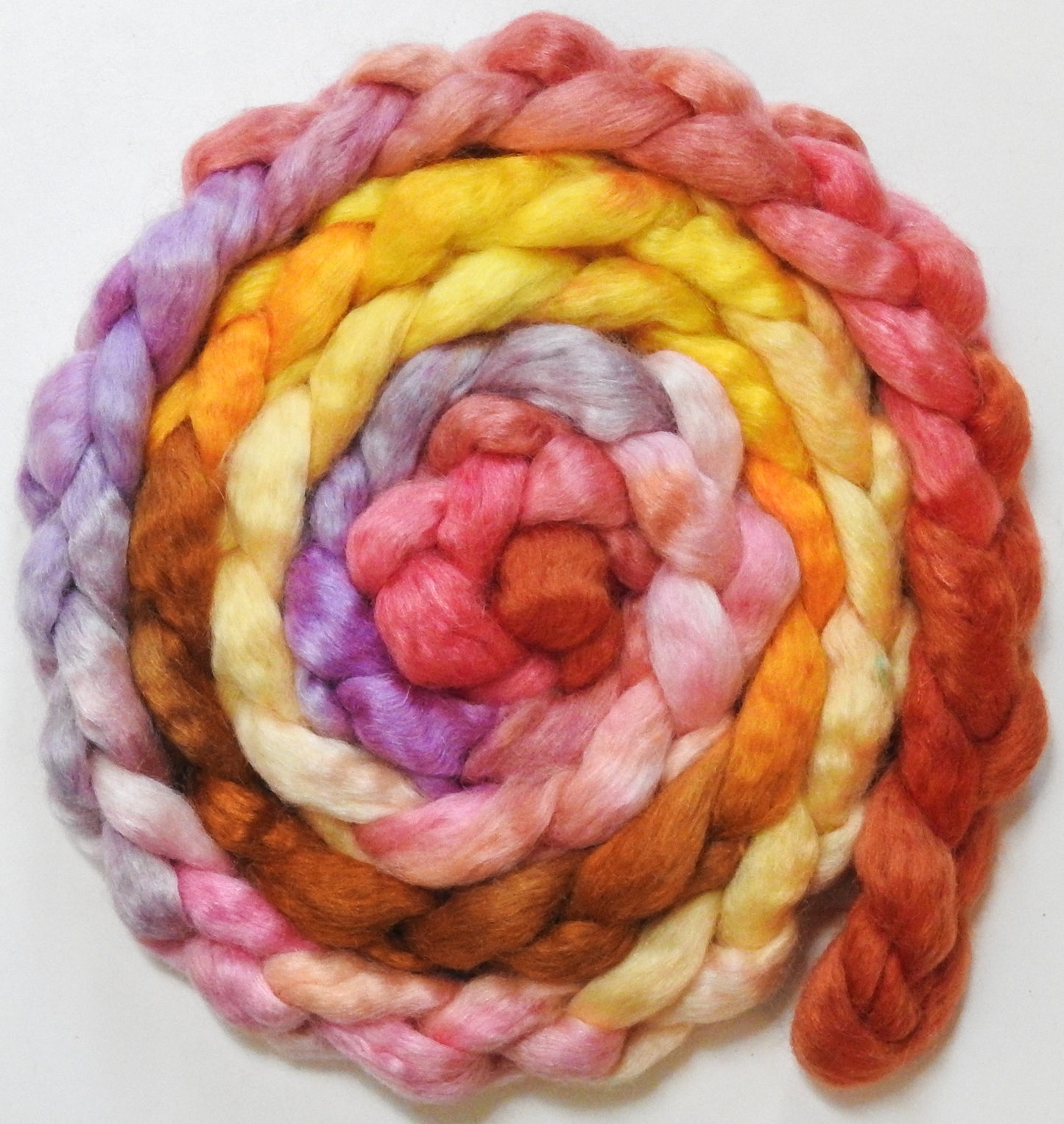 Park Güell (5.6 oz) - Batt in a Braid #52- Wensleydale/ Mulberry silk/ Polwarth (60/25/15)