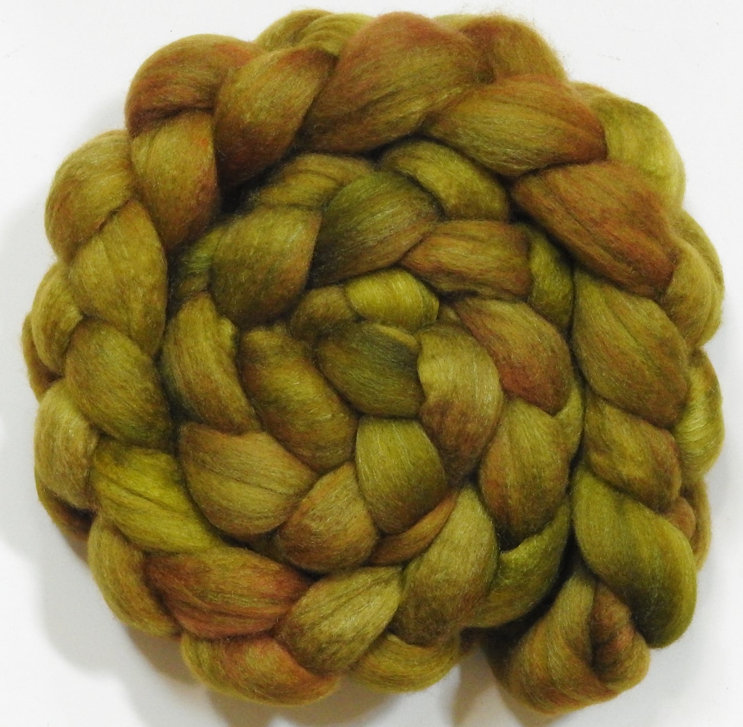 Sphagnum (5.9 oz) - Polwarth / Tussah silk (85/15)