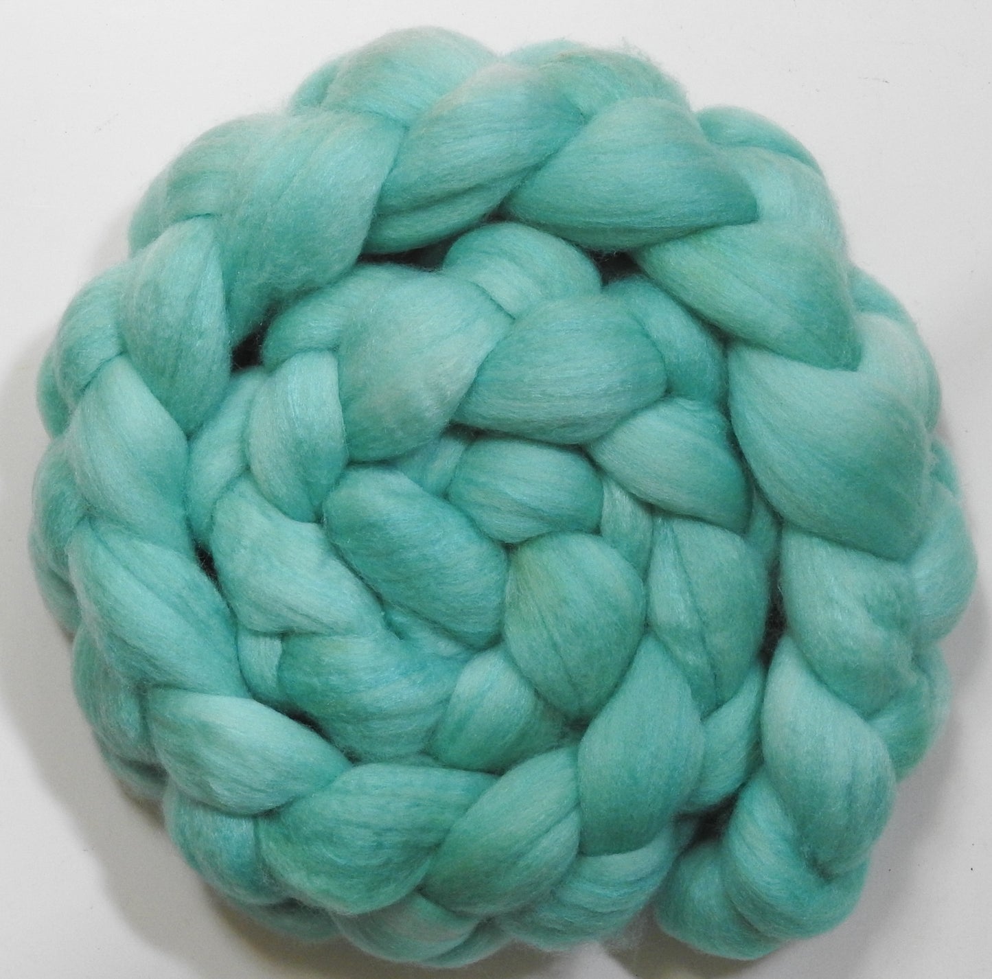 Robin's Egg (5.7 oz) - Polwarth / Tussah silk (85/15)