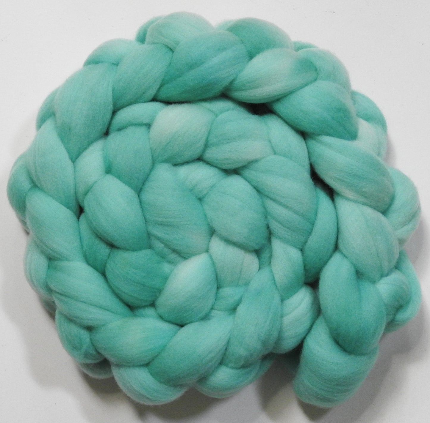 Robin's Egg (5.7 oz)- Shaniko Wool (20 micron)