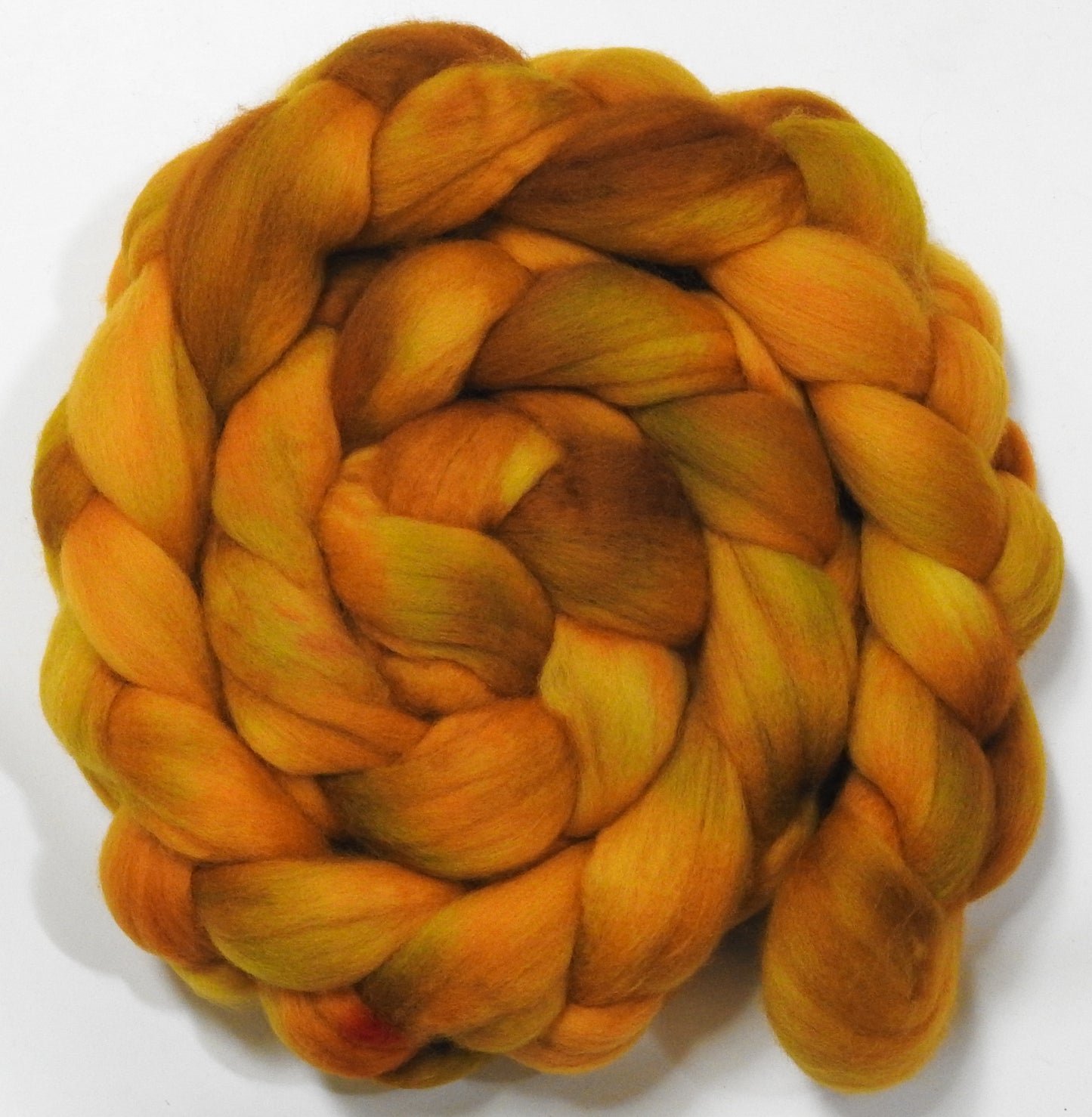 Maize - Polwarth