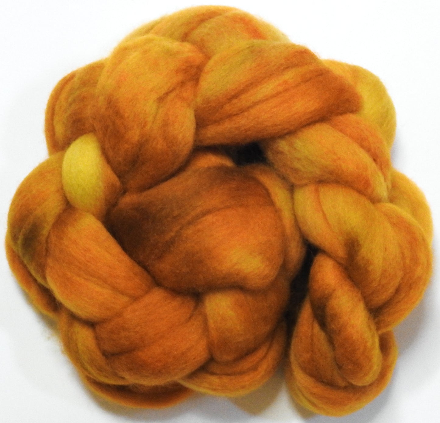 Maize - Polwarth