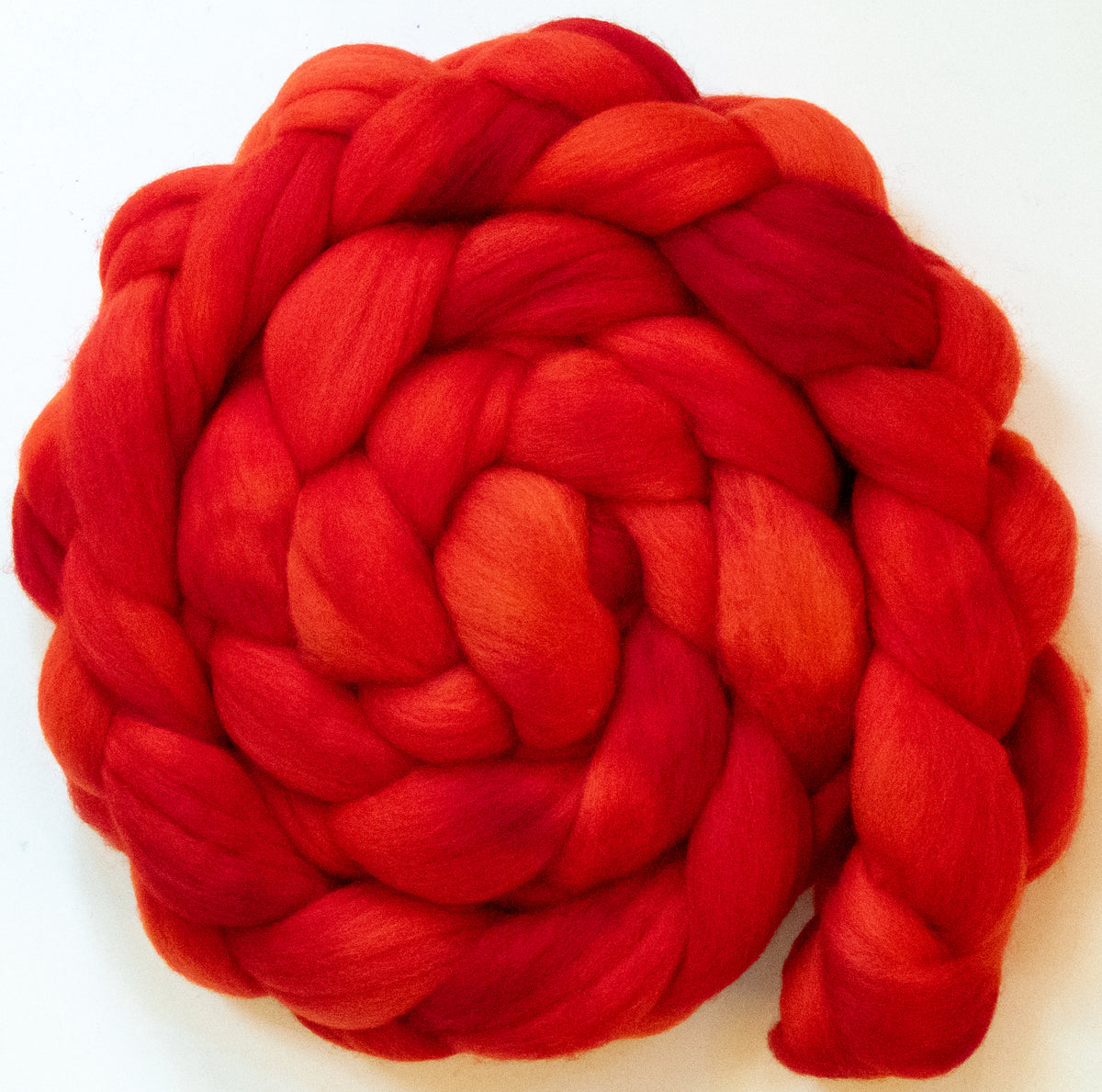 Tomato (5.8 oz) - Polwarth