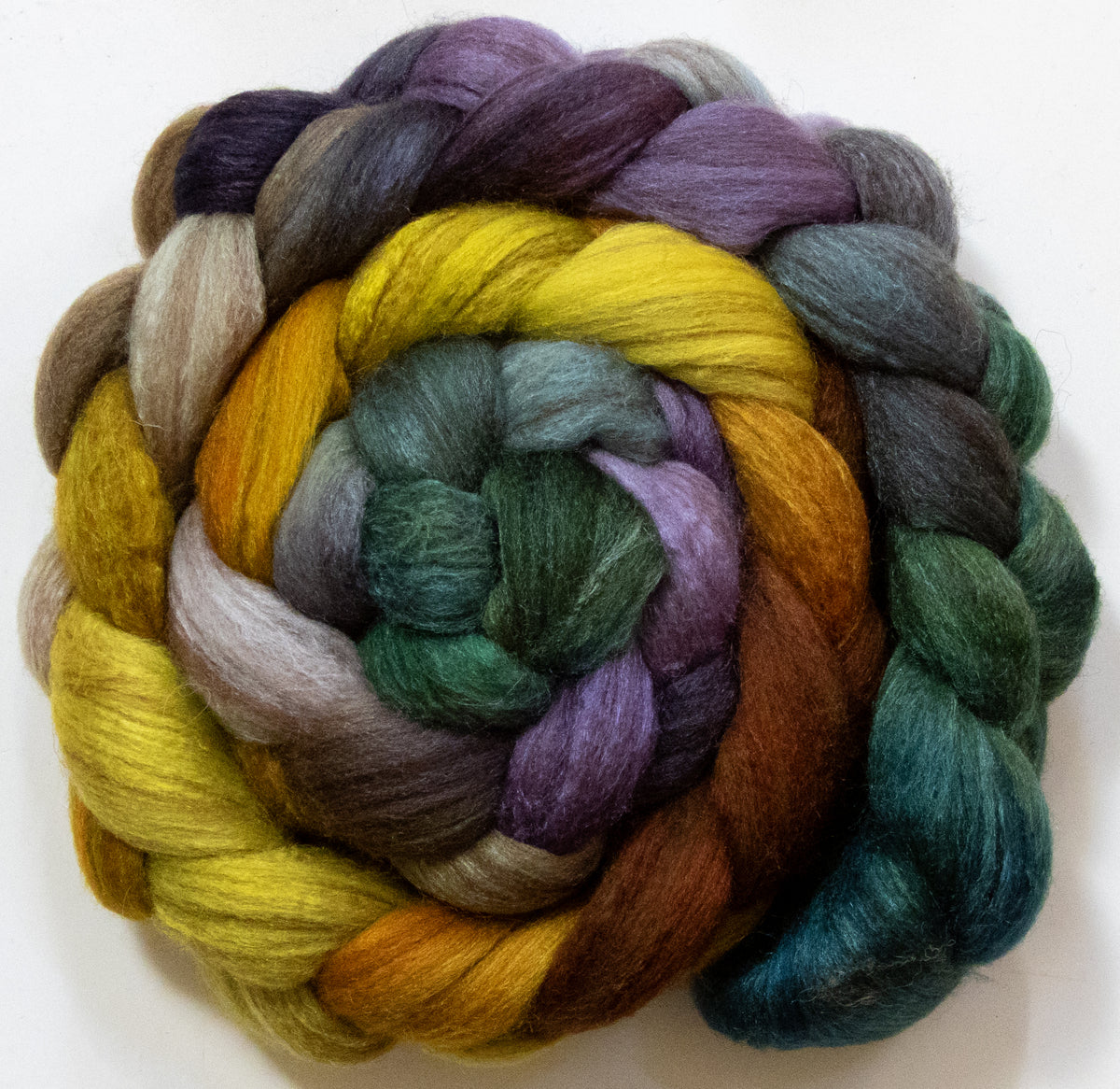 Acacia Tree (5.8 oz) - Batt in a Braid #69 - Manx Loaghtan/ Polwarth / tussah silk /nylon (30/30/30/10)