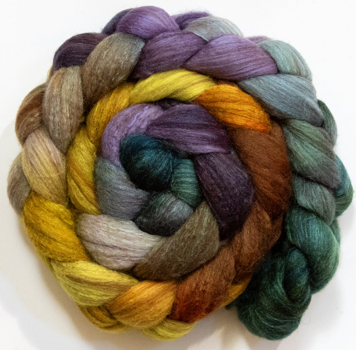 Acacia Tree (5.8 oz) - Batt in a Braid #69 - Manx Loaghtan/ Polwarth / tussah silk /nylon (30/30/30/10)
