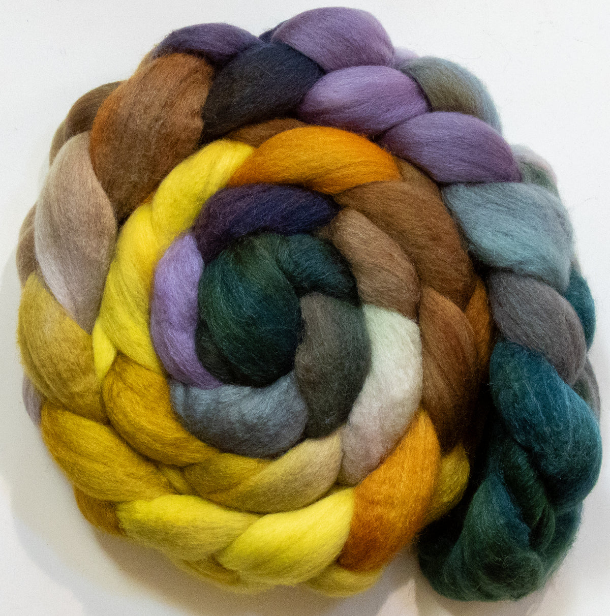 Acacia Tree (5.6 oz) - Polwarth / Tussah silk (85/15)
