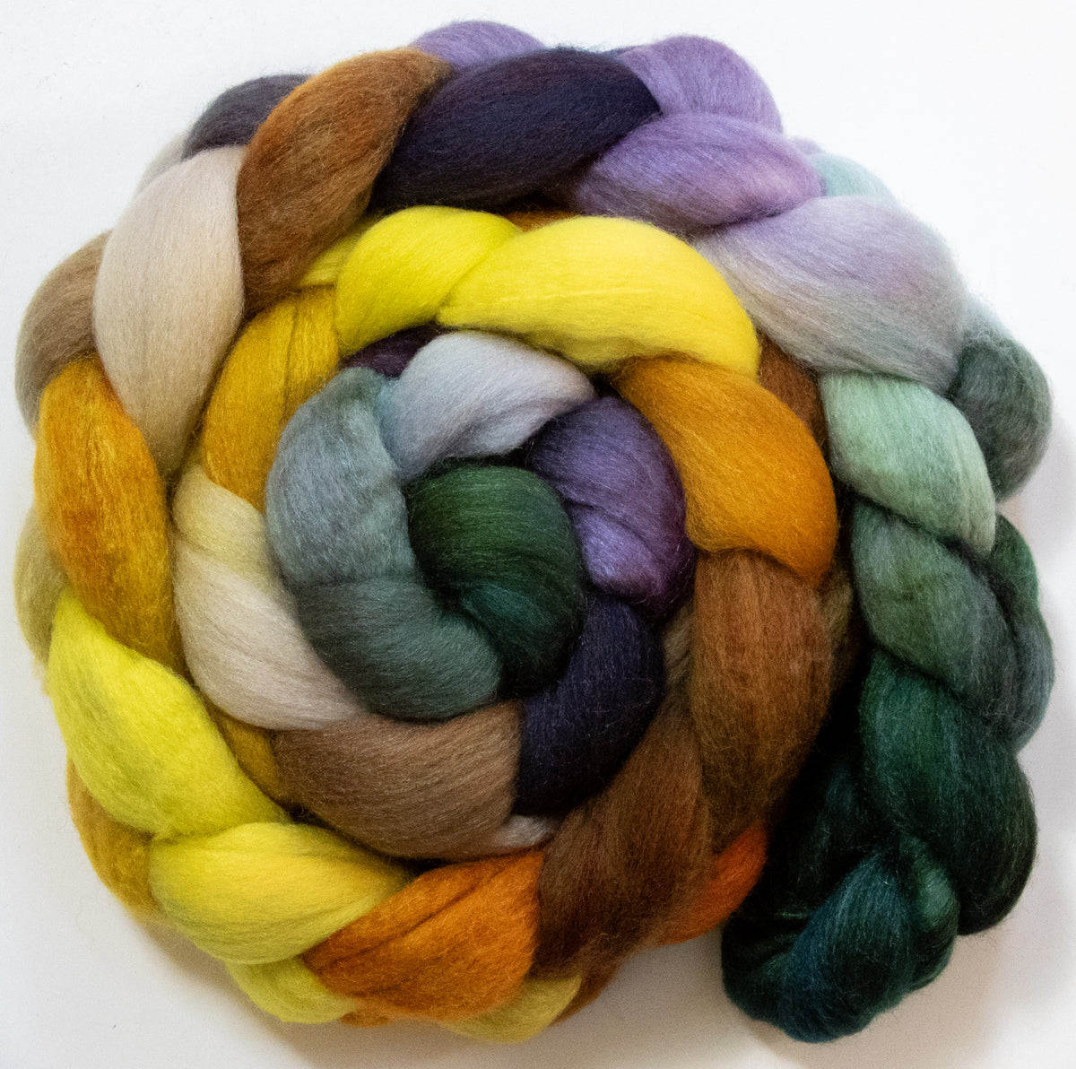 Acacia Tree (5.6 oz) - Polwarth / Tussah silk (85/15)