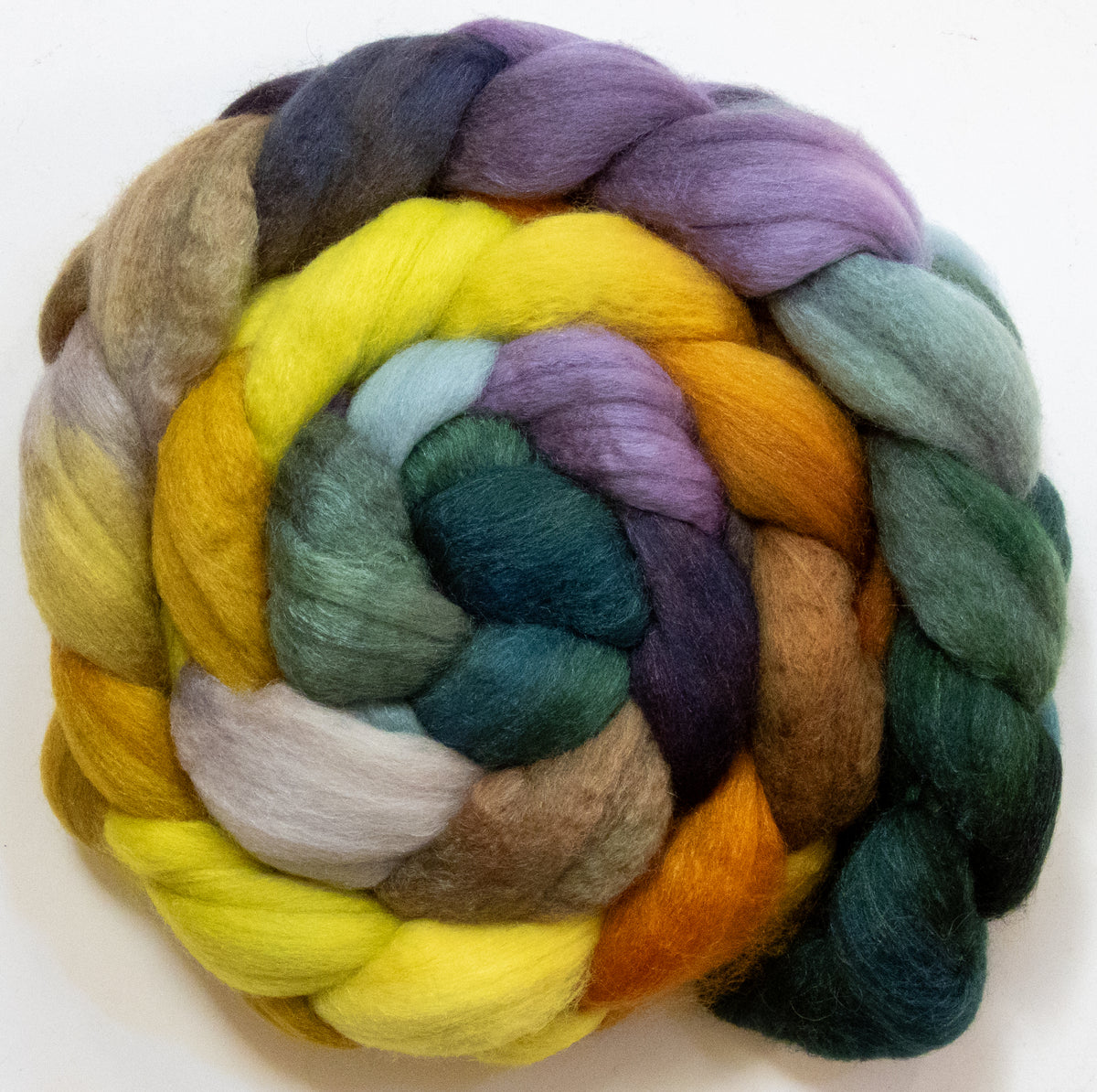 Acacia Tree (5.6 oz) - Polwarth / Tussah silk (85/15)