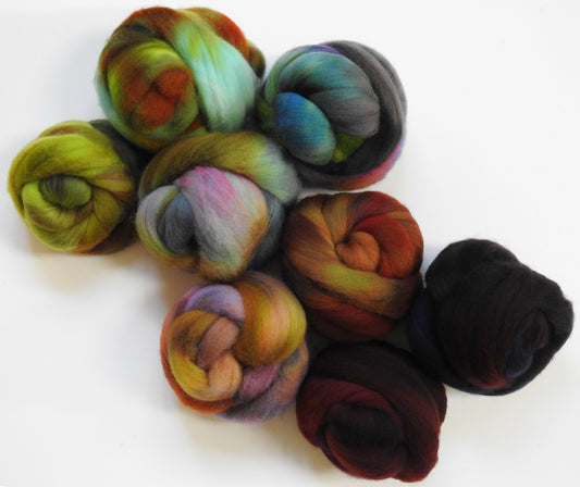 Fungus Among Us (11.5 oz) - Gradient Braid Set - Organic Polwarth