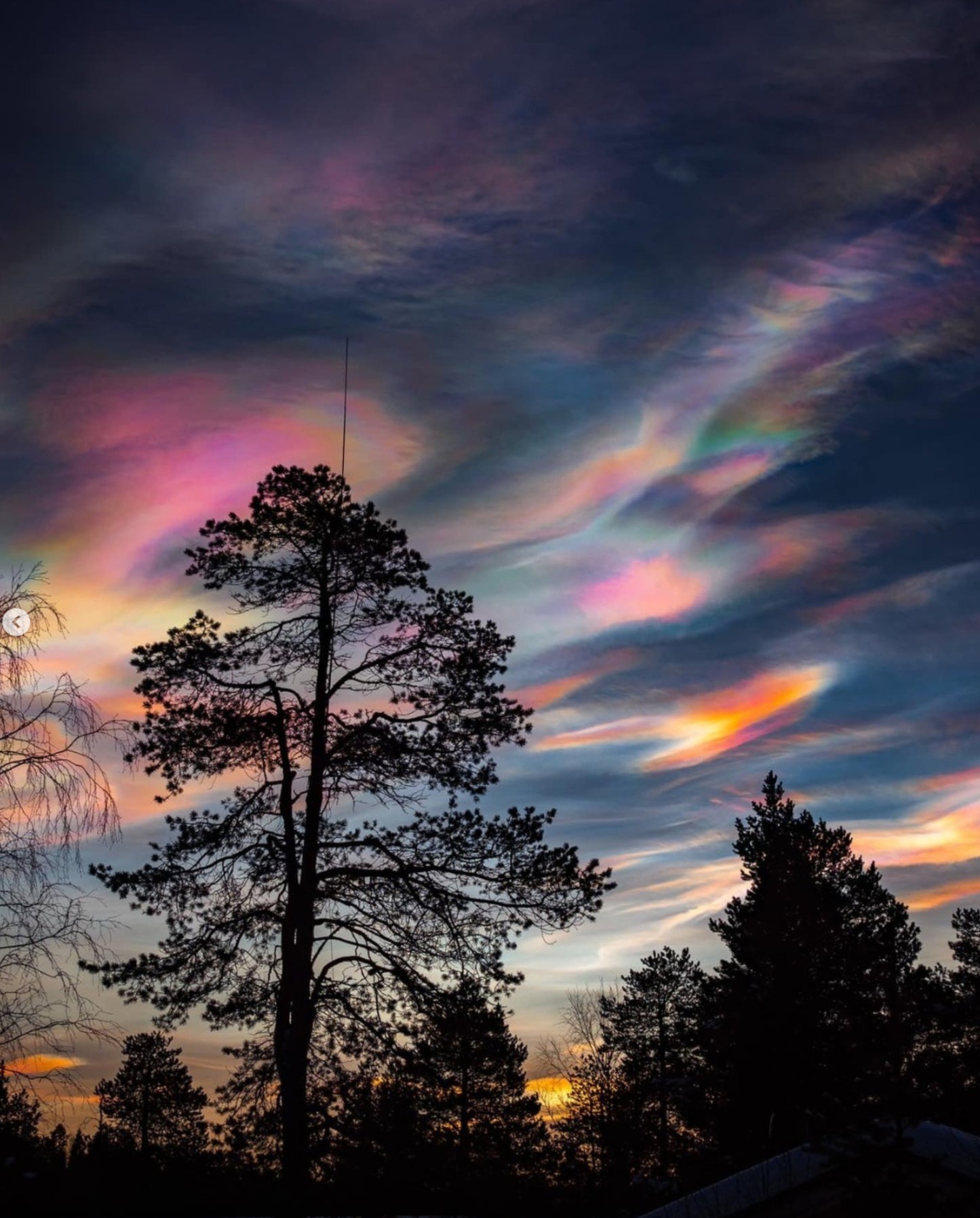 Polar Stratospheric Clouds -Sparkle Sticklebatts -CVM RamboX fleece, merino,polwarth, tweed blend, silk, bamboo, angelina