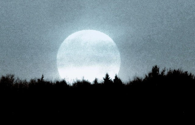 Frost Moon - Sparkle Sticklebatts - Corriedale X Southdown fleece, haunui/silk top, merino, silk, Pearl Fiber, Lonk, angelina, sari silk