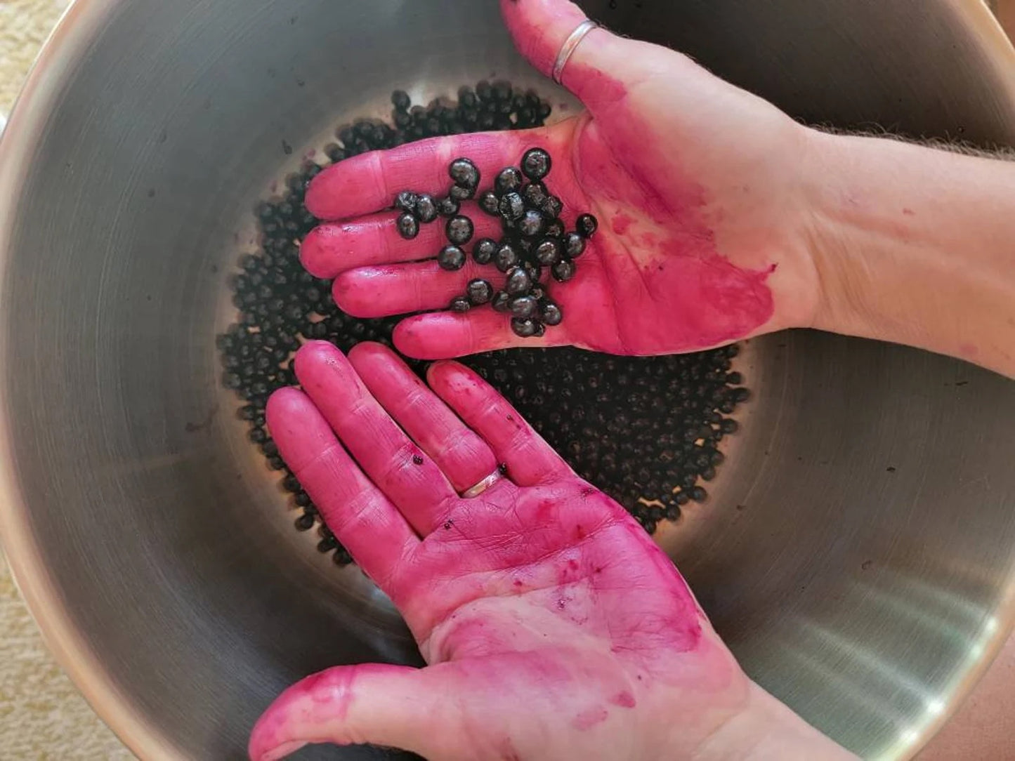 Crushed Pokeberries (4.3 oz) NON-Sparkle Sticklebatts -Jacob fleece, camel, merino, silk, silk noil