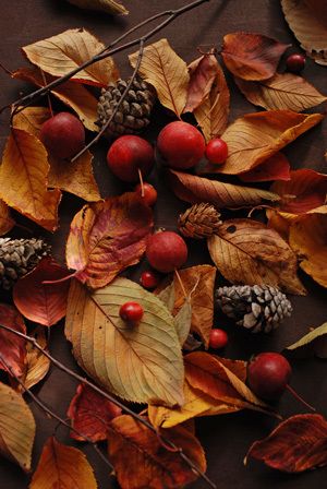 Nuts & Berries - Batt in a Braid #7 - Polwarth/ Manx / Mulberry silk/ Firestar (30/30/30/10)