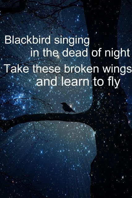 Blackbird -Sparkle Sticklebatts - Inglenook Fibers
