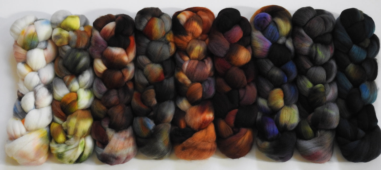 Owls-  Gradient Braid Set - (12.2 oz.) Organic Polwarth