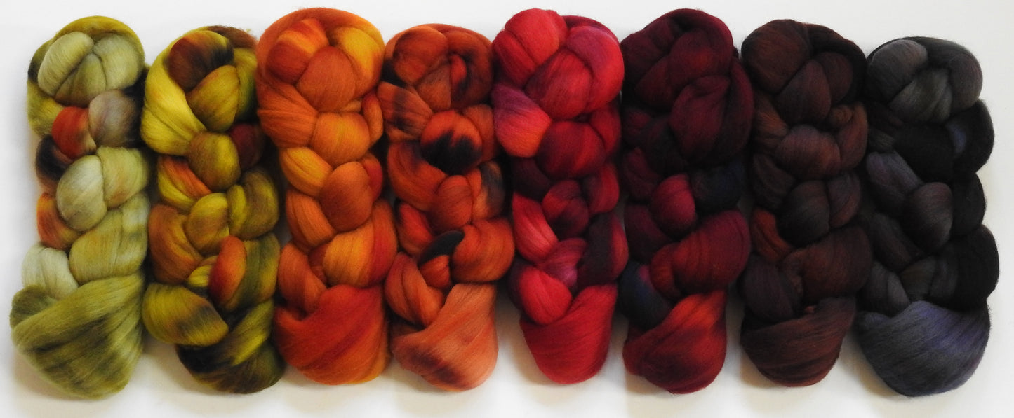 Leaf Peepers -  Gradient Braid Set - (11.7 oz.) Targhee (23 mic.)