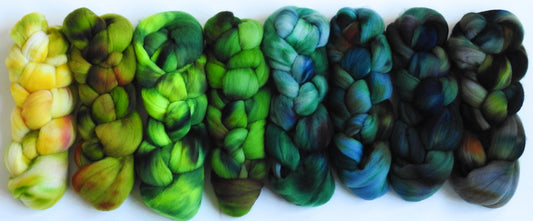 Avenue -  Gradient Braid Set - (11.4 oz.) Targhee (23 mic.)