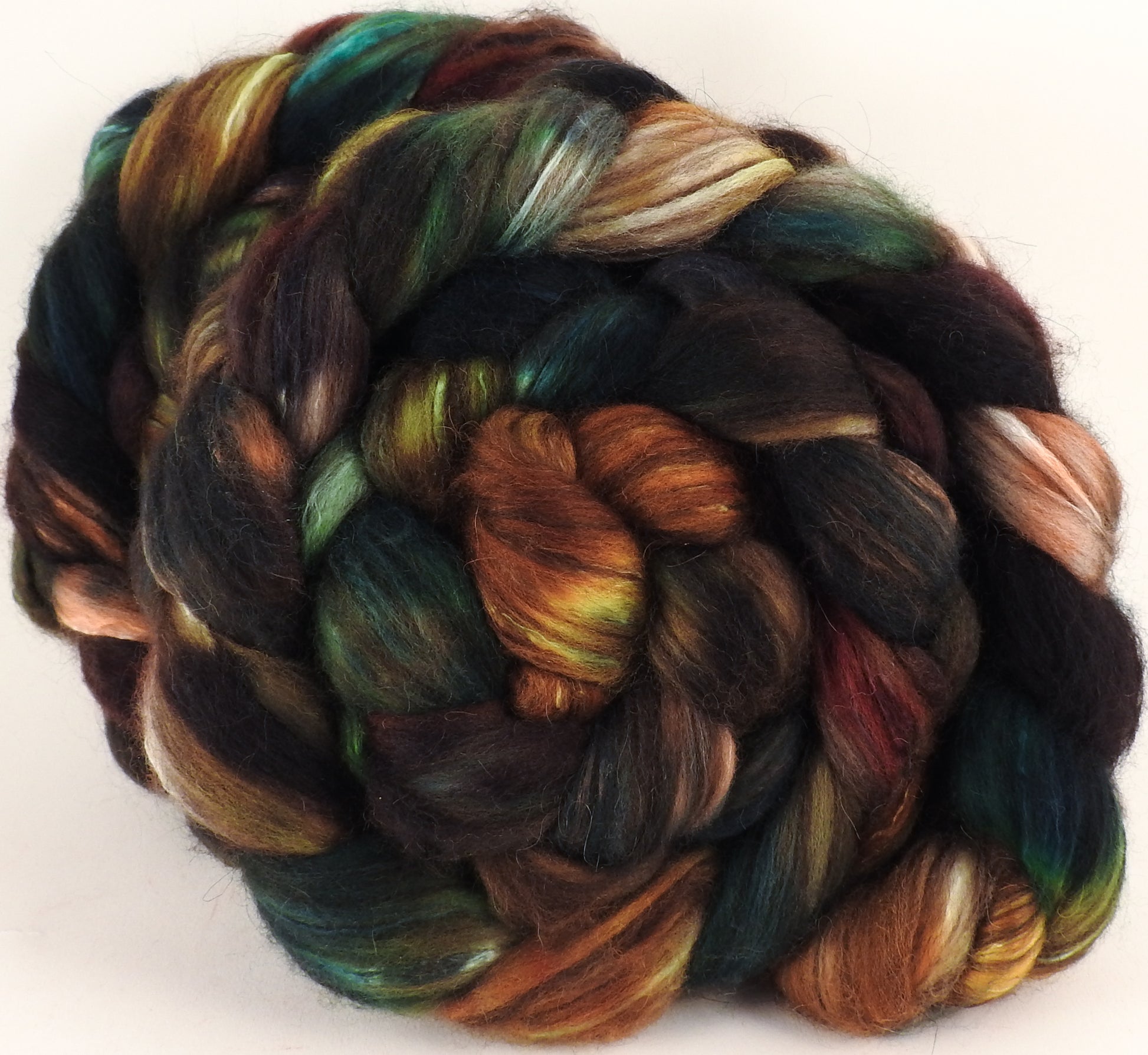 Hand dyed top for spinning - Trilobite - (5.1 oz) 18.5 mic merino/ camel/ brown alpaca/ mulberry silk/ (40/20/20/20) - Inglenook Fibers