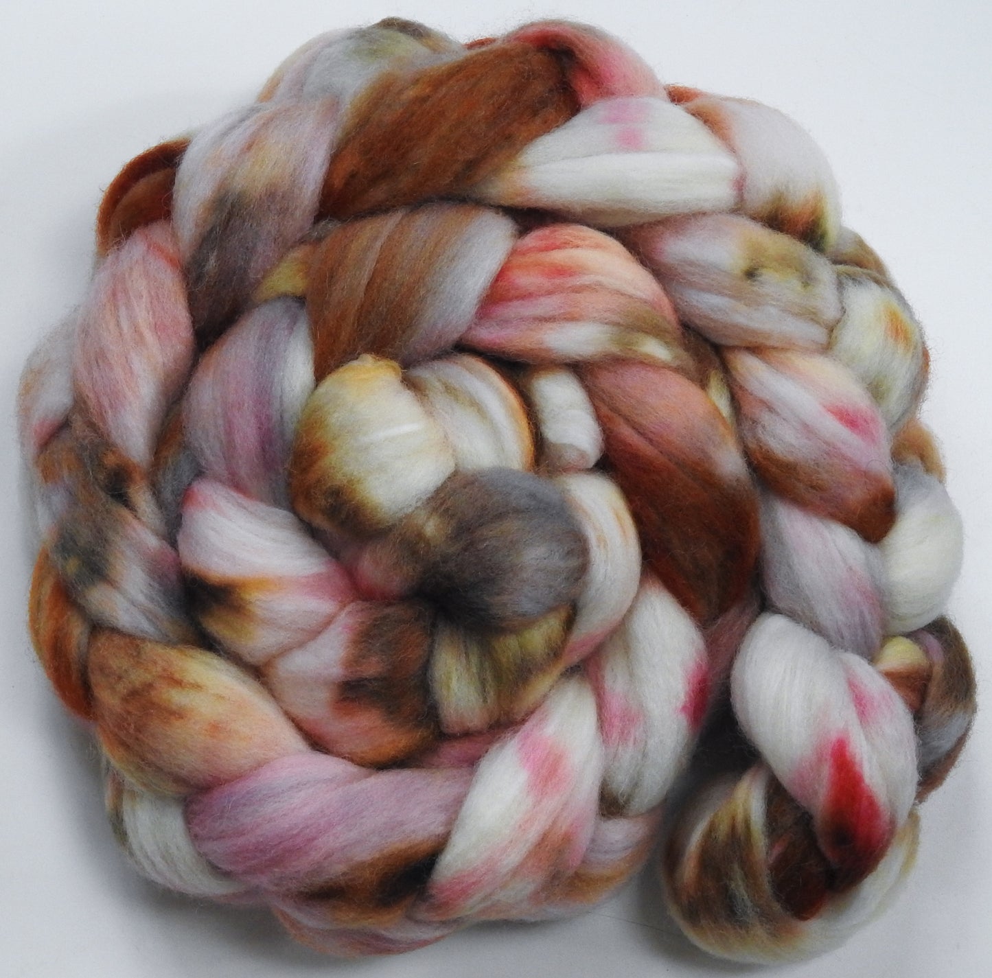 Cockleshells (5.6 oz) Batt in a Braid #60- Southdown/ Bfl/ Bio-nylon (50/25/25)