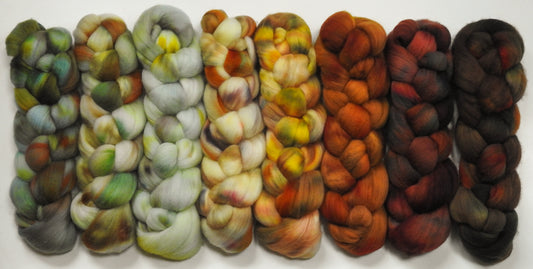 Hibernation -  Gradient Braid Set - Fusion Series- Organic Polwarth