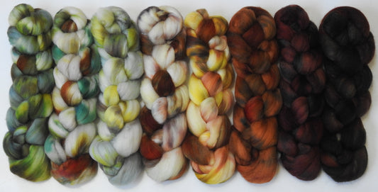 Hibernation -Gradient Braid Set - Polwarth / tussah silk (85/15)