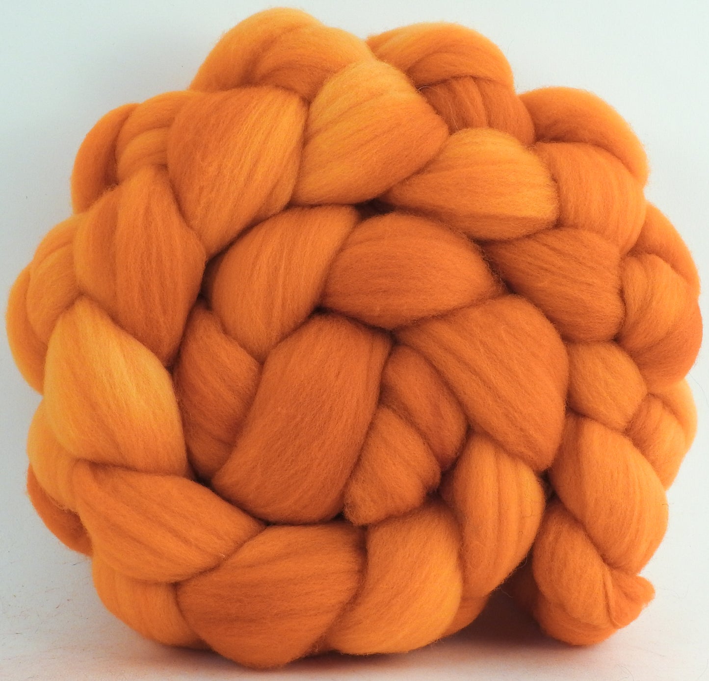 Apricot (5.7 oz) - Targhee