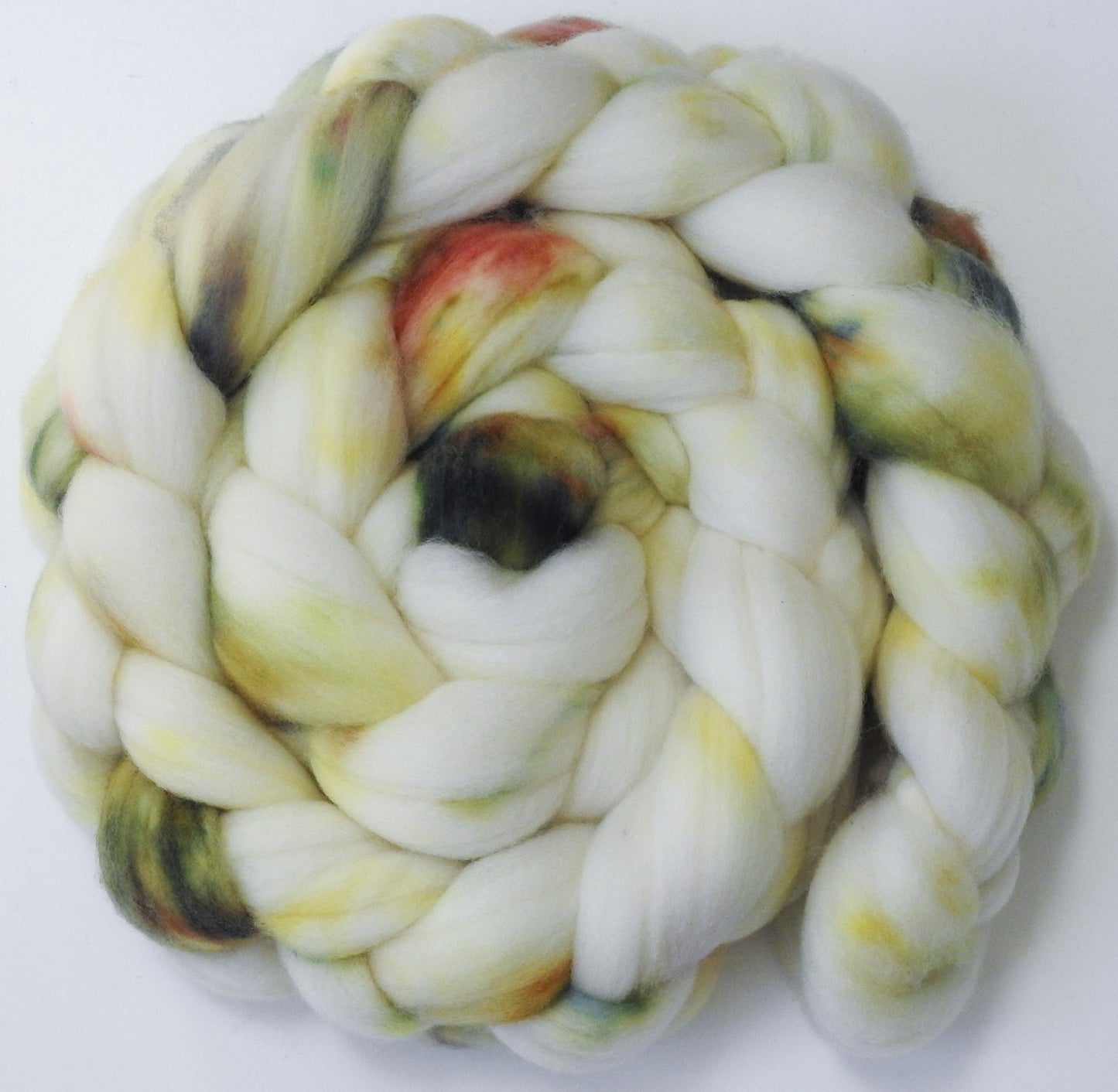 Paperwhite - (5.6 oz.) Organic Polwarth