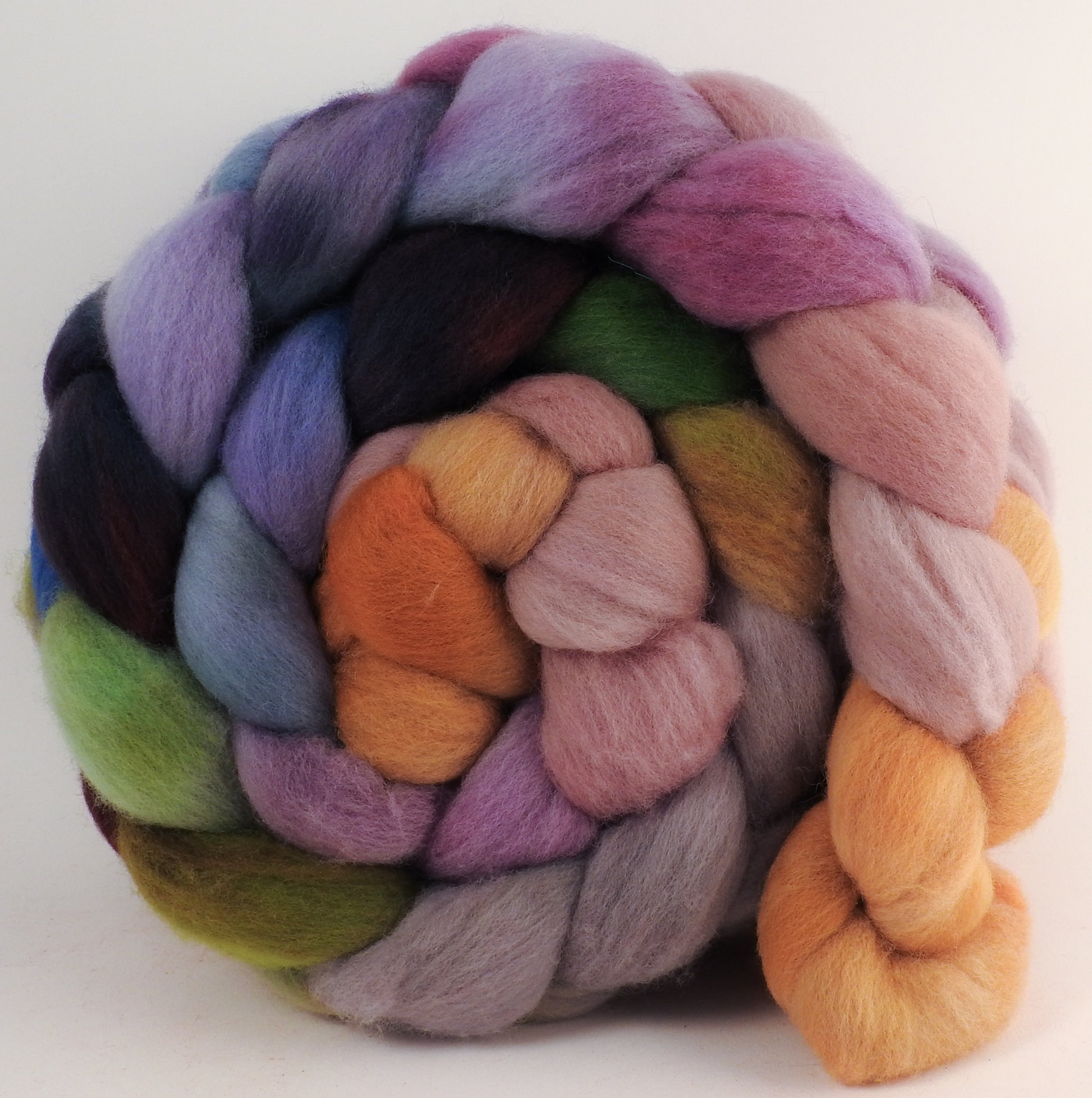 Hand dyed top for spinning - Asters - (6.1 oz.) Organic polwarth - Inglenook Fibers