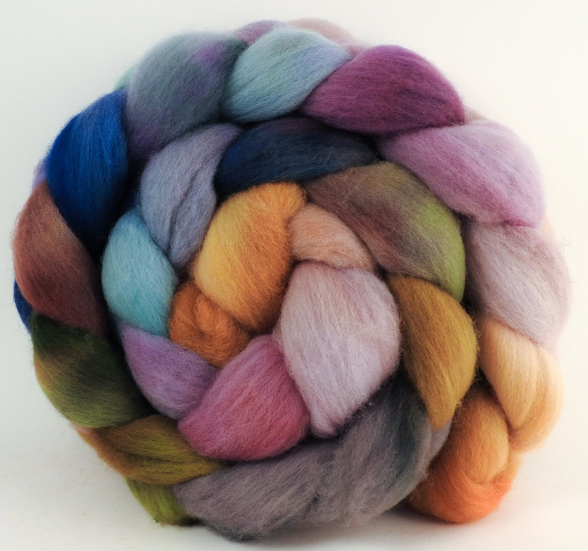 Hand dyed top for spinning - Asters - (6.1 oz.) Organic polwarth - Inglenook Fibers