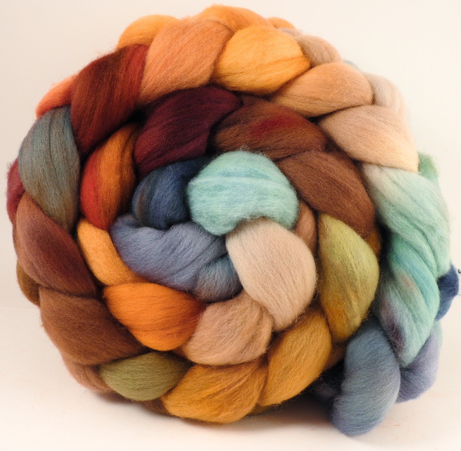 Hand dyed top for spinning - Squirrel's Pantry - (6 oz.) Organic Polwarth - Inglenook Fibers