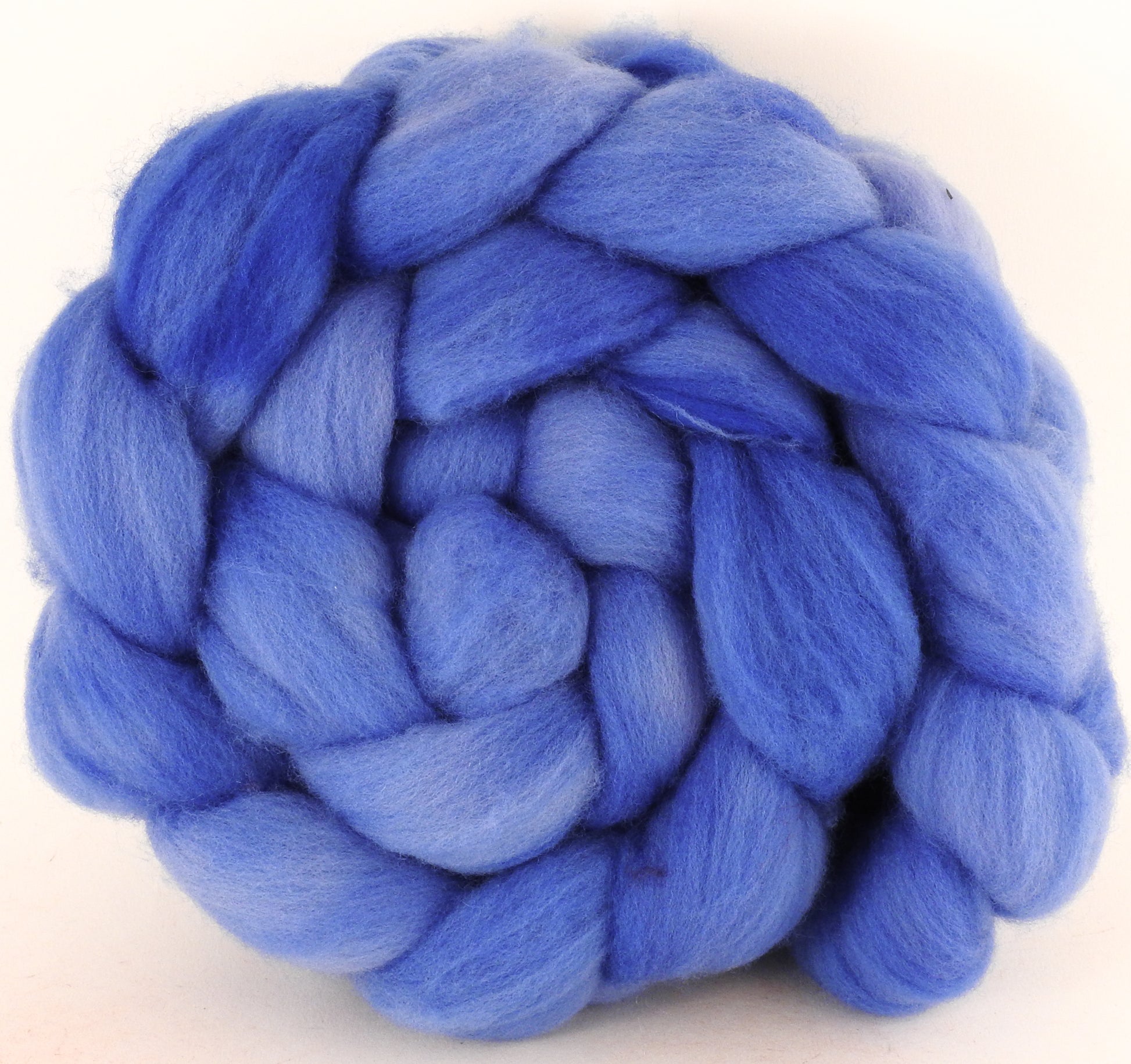 Hand dyed top for spinning - Bluebell - (6 oz.) Organic Polwarth - Inglenook Fibers