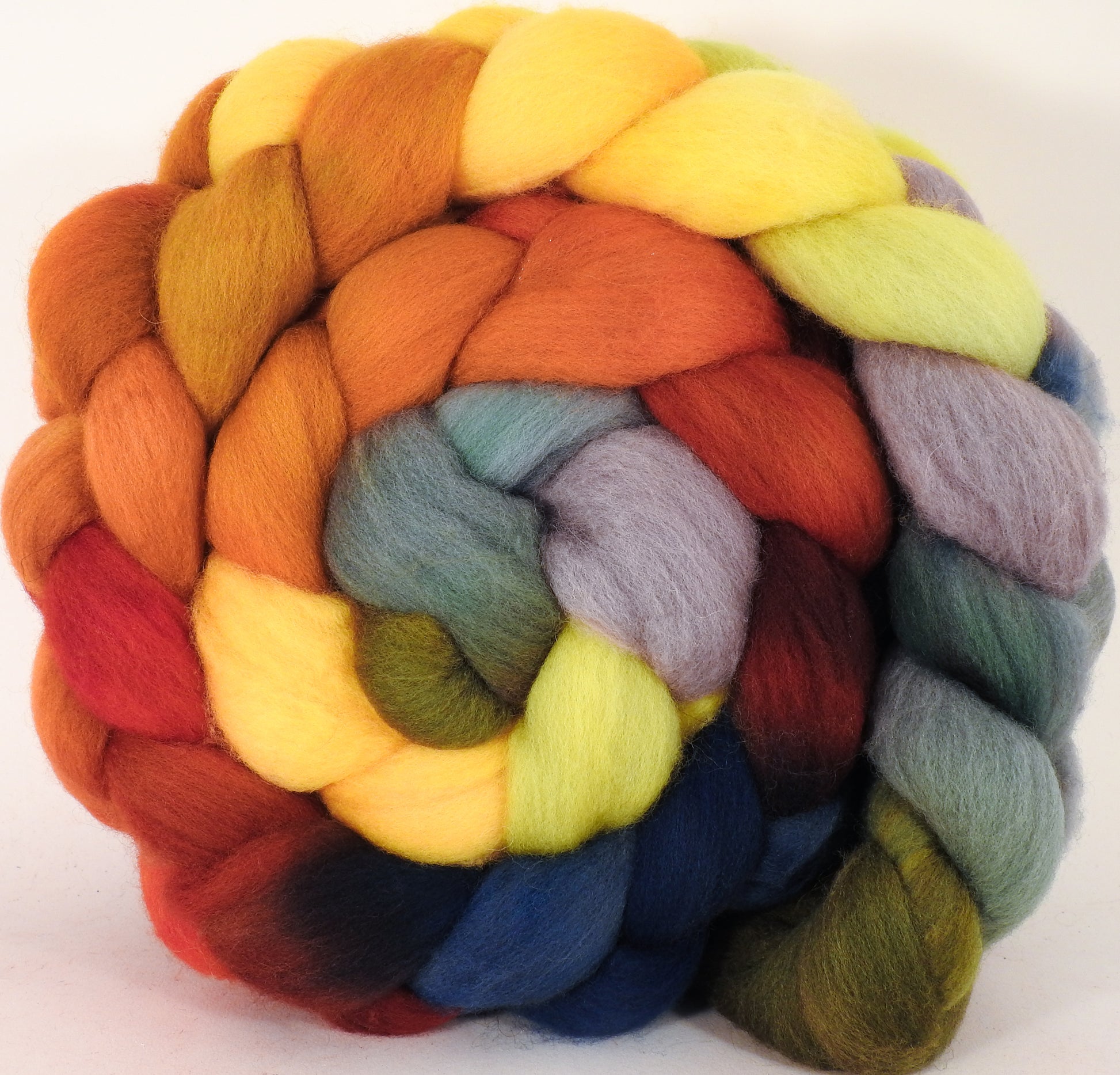 Hand dyed top for spinning -Gourds- Organic Polwarth - Inglenook Fibers