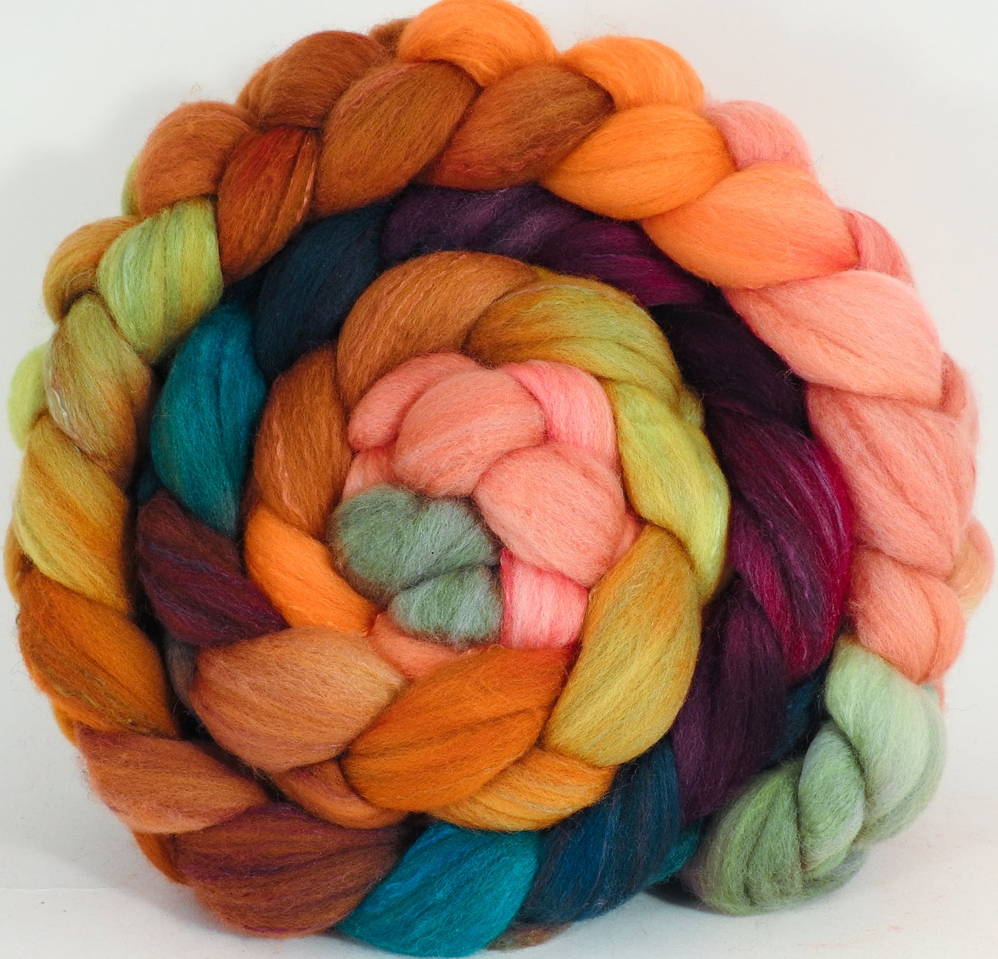 Hand dyed top for spinning -Penny Lane - (5.5 oz) Organic Polwarth / Tussah silk (80/20) - Inglenook Fibers