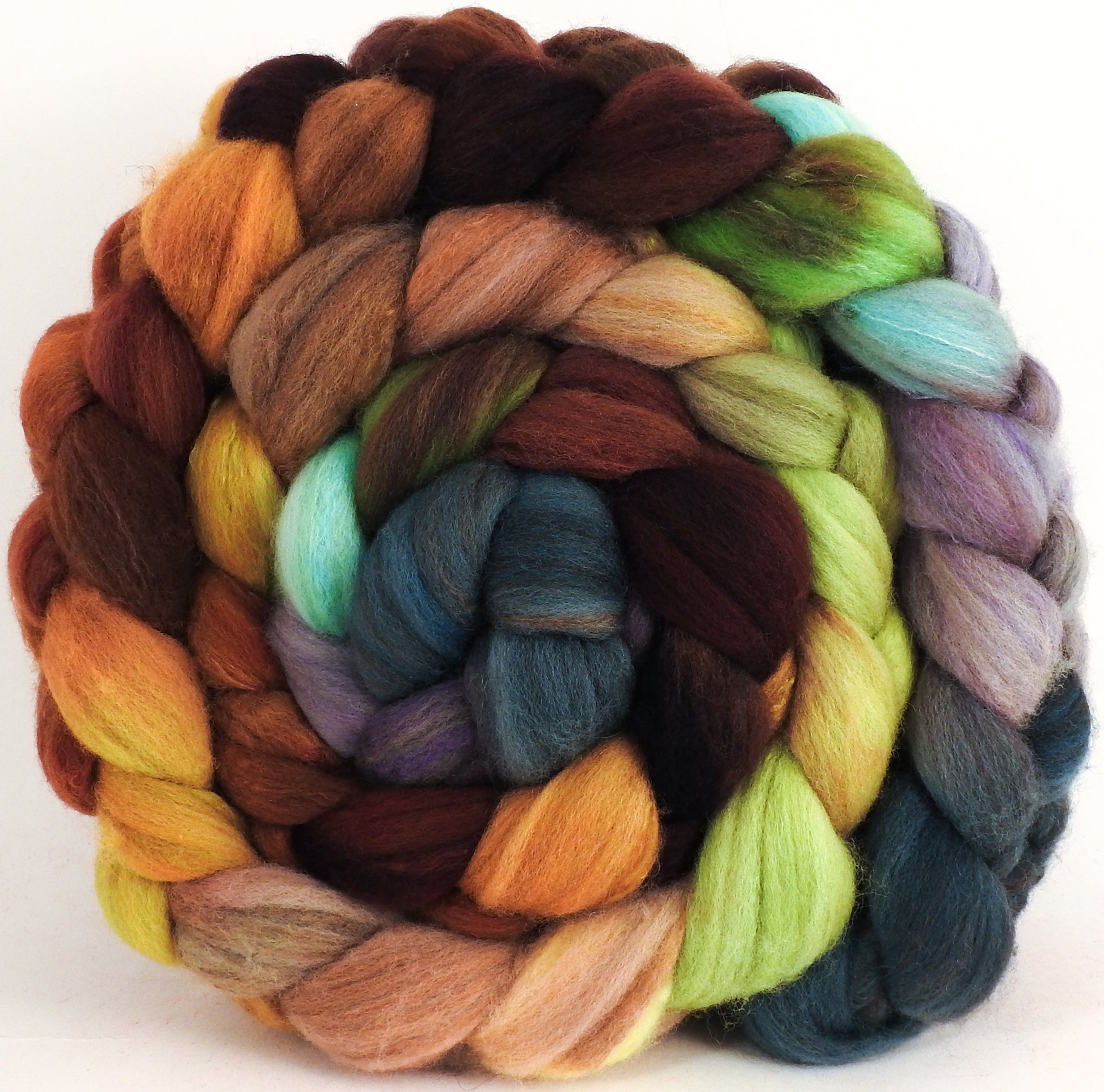 Hand dyed top for spinning -Bronze Oak- (5.4 oz) Organic Polwarth / Tussah silk (80/20) - Inglenook Fibers