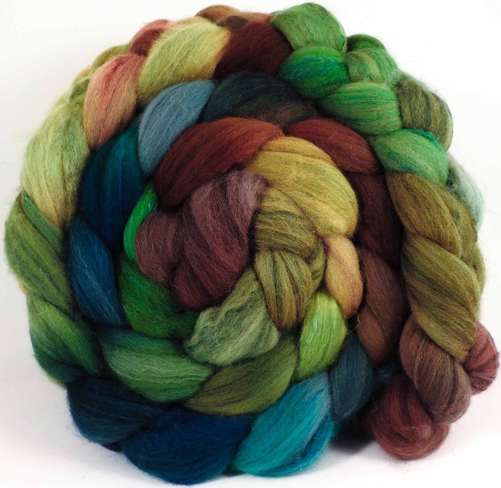 Hand dyed top for spinning - Douglas Fir -  Organic Polwarth / Tussah silk (80/20) - Inglenook Fibers