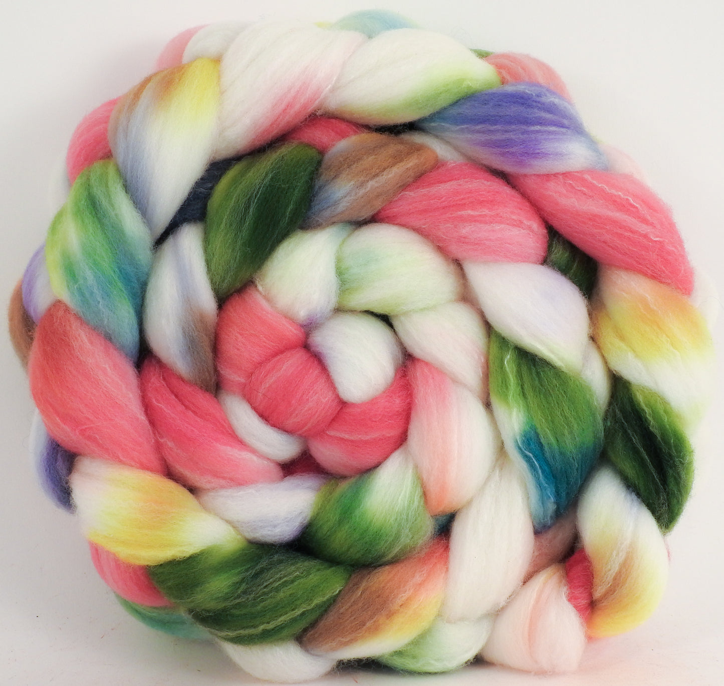 Hand dyed top for spinning -Ribbon Candy- Organic Polwarth / Tussah silk (80/20) - Inglenook Fibers