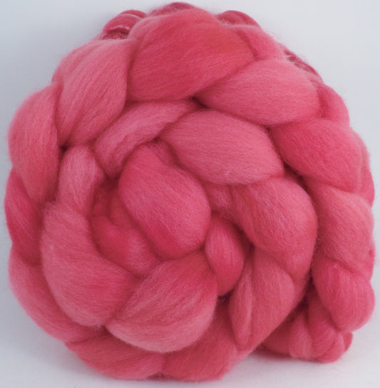 Hand dyed top for spinning - #sorrynotsorry -(5.3 oz.) Organic polwarth - Inglenook Fibers