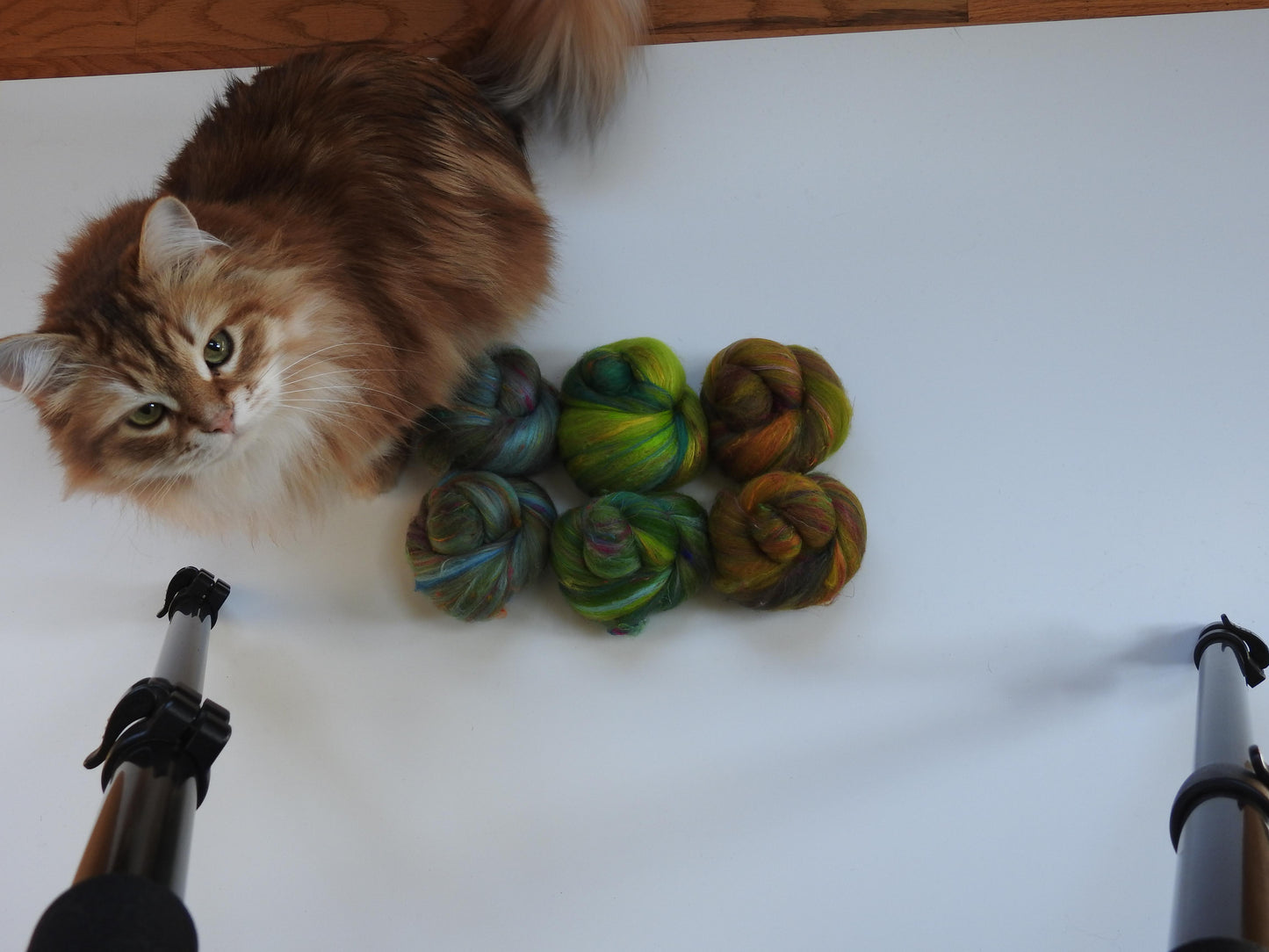 Non-sparkle Sticklebatts - Ring of Kerry - 30% Romeldale Fleece; merino, polwarth, silk, bamboo, sari silk