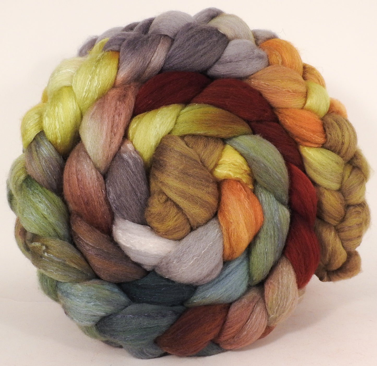 Hand dyed top for spinning -Winter Beech- (5.4 oz) Organic Polwarth / Tussah silk (80/20)