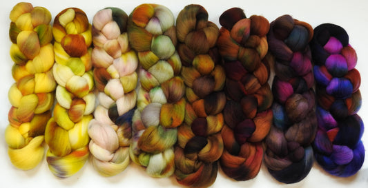 Flight of the Bumblebee Set - Fusion Series- Organic Polwarth