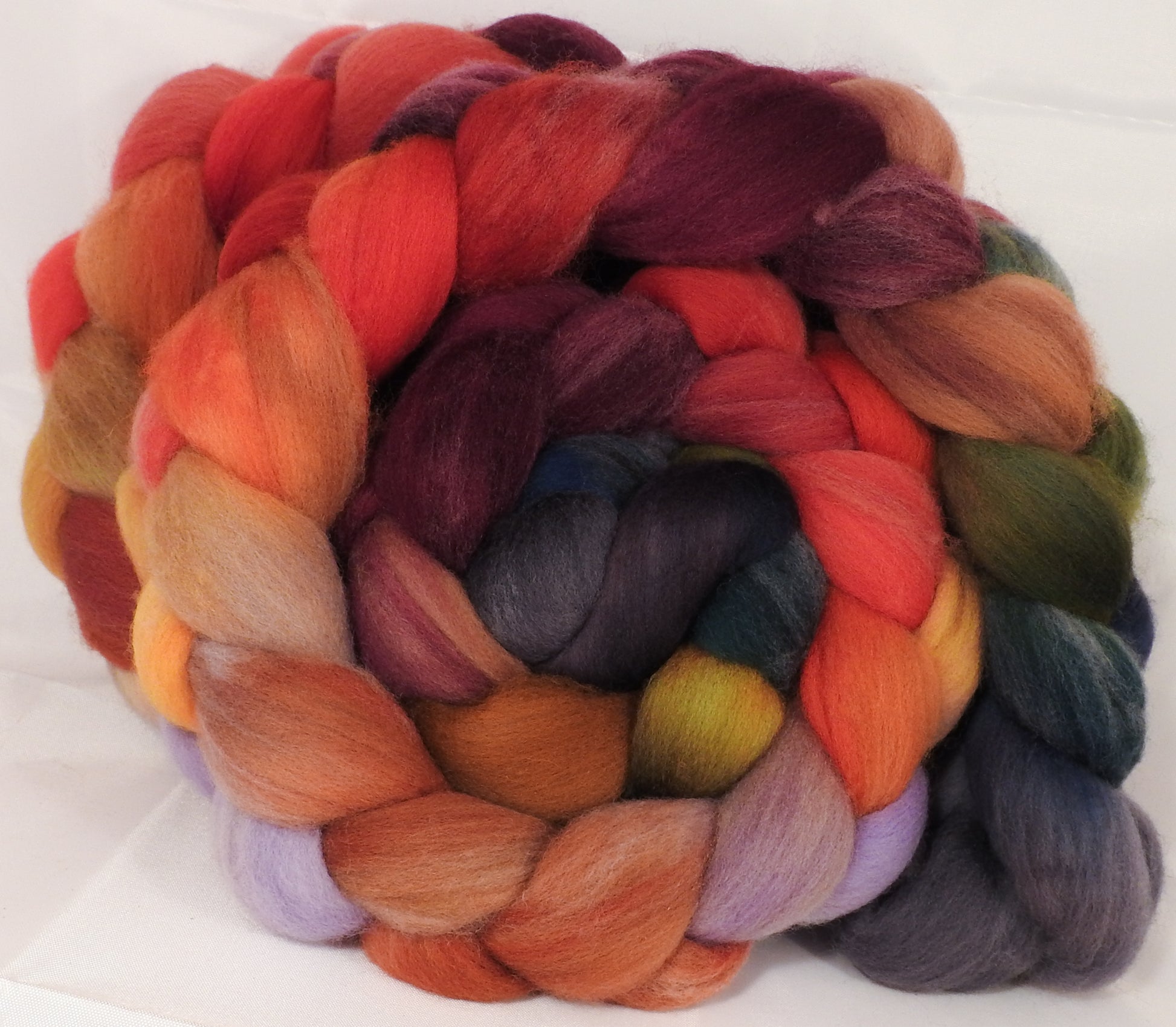 Hand dyed top for spinning -Poinsettia-Organic Polwarth - Inglenook Fibers