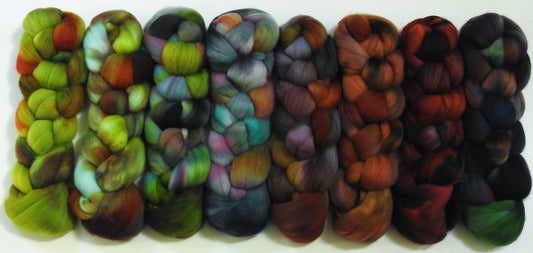 Fungus Among Us- Gradient Braid Set -(11.5 oz).- Organic Polwarth
