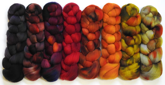 Leaf Peeping-  Gradient Braid Set - (11.6 oz.) Organic Polwarth
